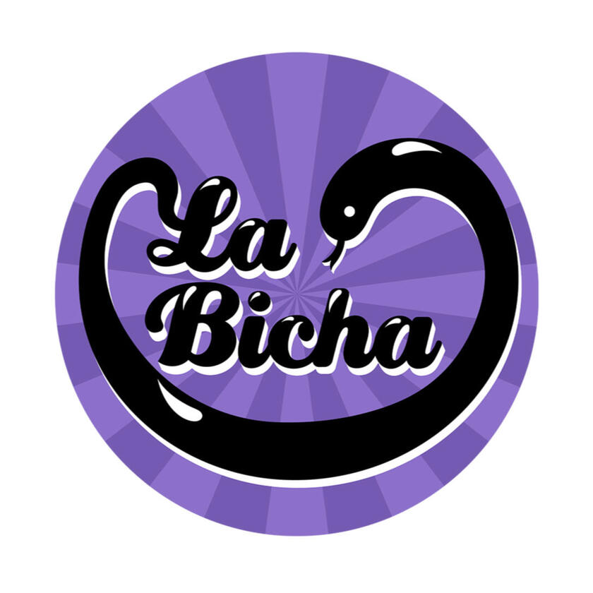 La Bicha: Venta de Ropa Reciclada