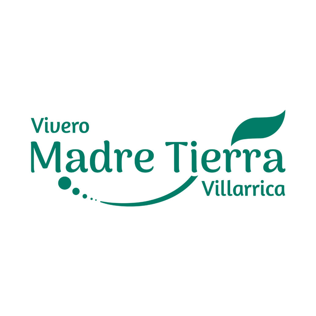 Versión Color Plano