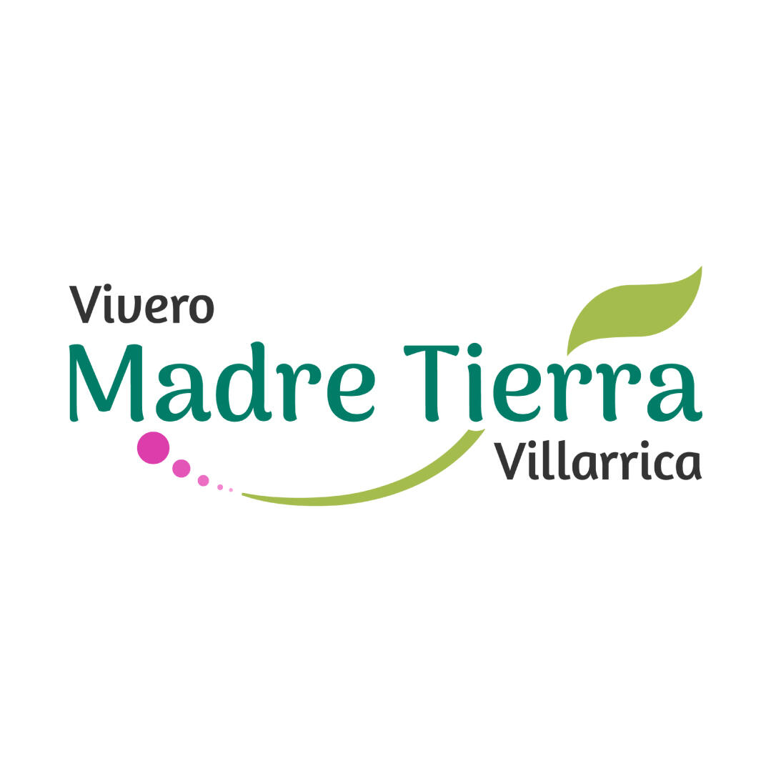 Logo "Propiedades Paihuen"